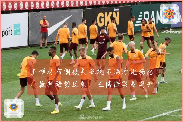 王博对布朗被判犯规不满冲进场地，裁判强势反制，王博微笑着离开