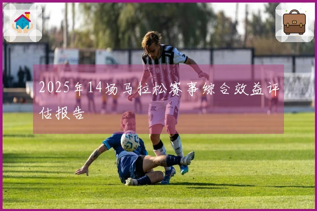 2025年14场马拉松赛事综合效益评估报告